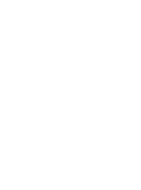 Sapana Jain Studio SJ logo
